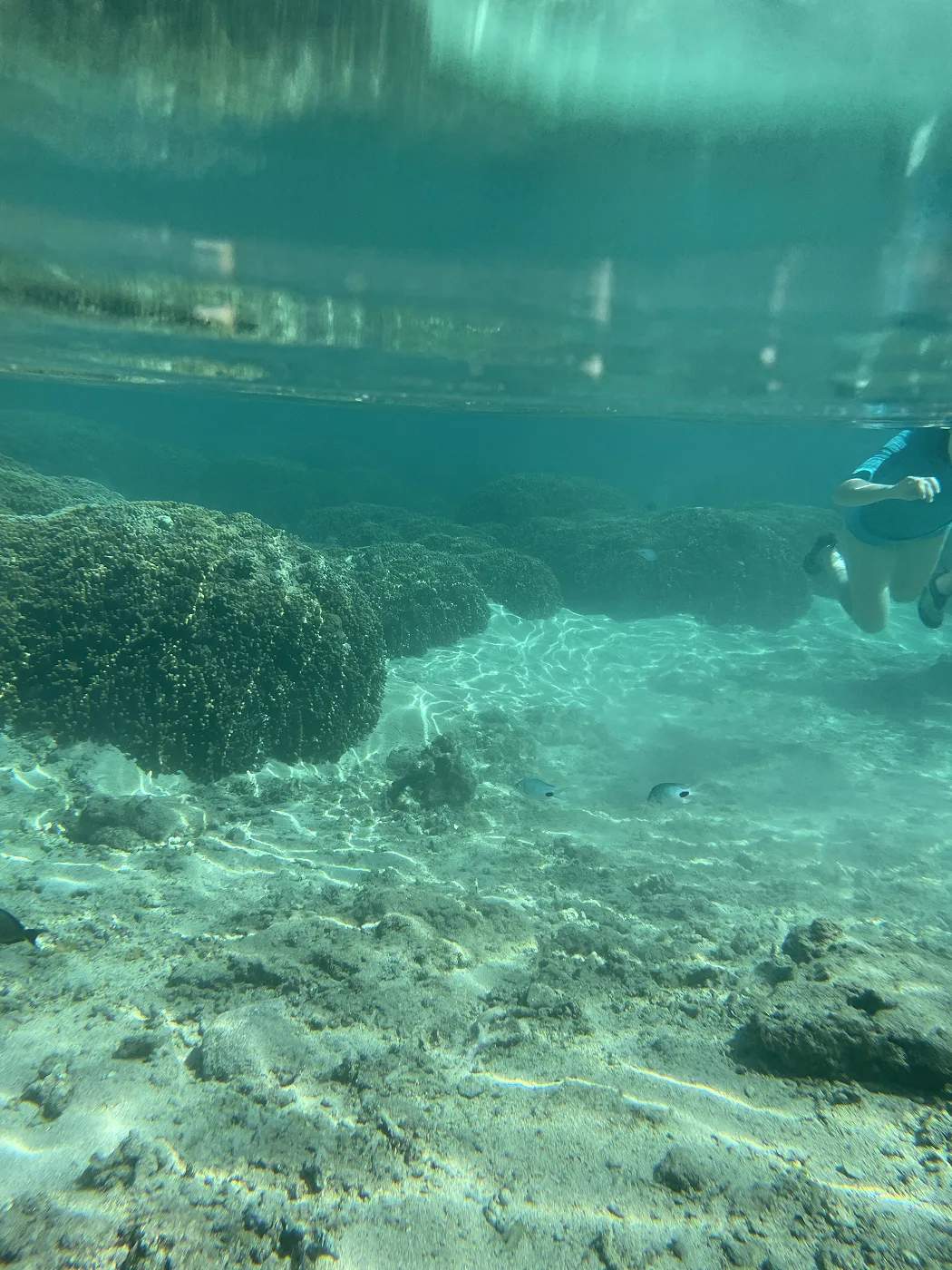Vue sous-marine du fond rocheux du lagon avec eau turquoise